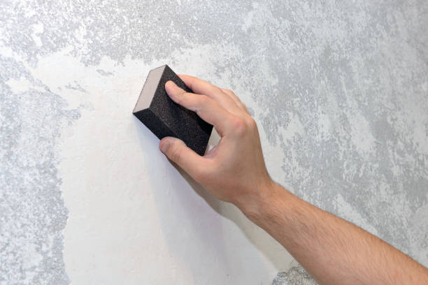 Best Mold Damage Restoration  in Toquerville, UT